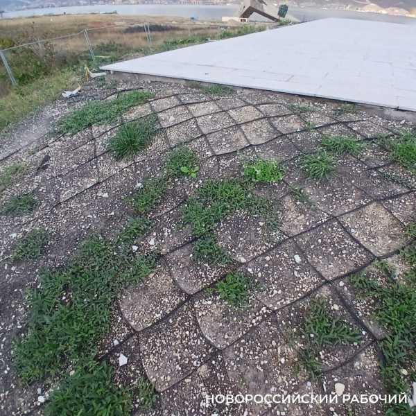Трава вокруг стелы в Новороссийске будет долго прорастать после рулонного газона