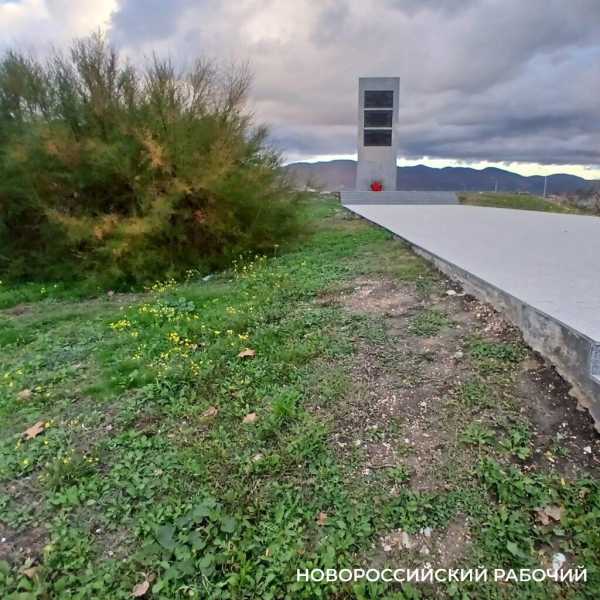 Трава вокруг стелы в Новороссийске будет долго прорастать после рулонного газона