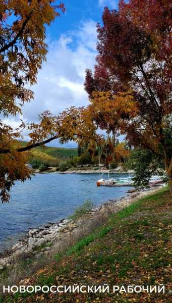 В Абрау-Дюрсо побит рекорд по сбору урожая, который держался с 1982 года!