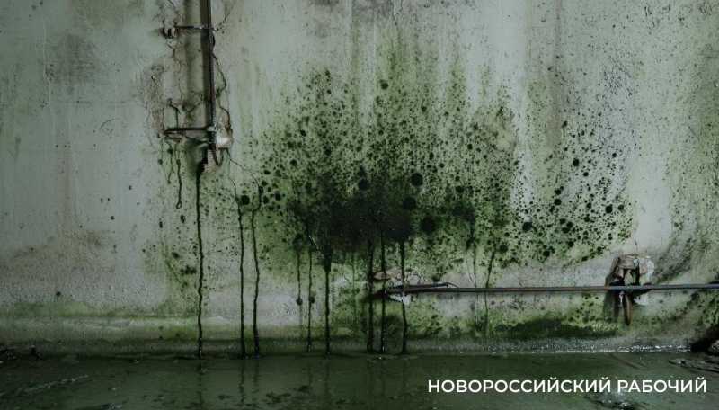 В бомбоубежище  для детсадовцев Новороссийска обнаружили плесень и текущую канализацию