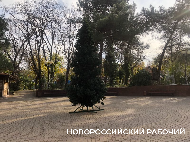 В Новороссийск Новый год уже пришел! В &laquo;Красной площади&raquo; и в парке поставили елку