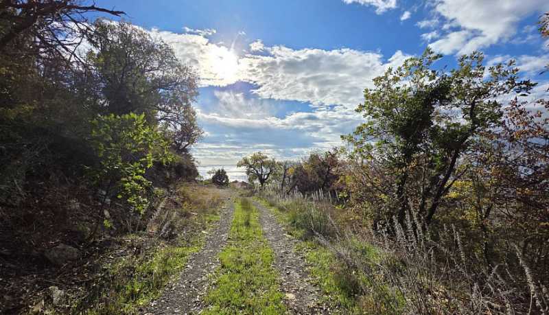 В Новороссийске для любителей туризма доступен новый краеведческий маршрут &laquo;По склону горы Амзай&raquo;