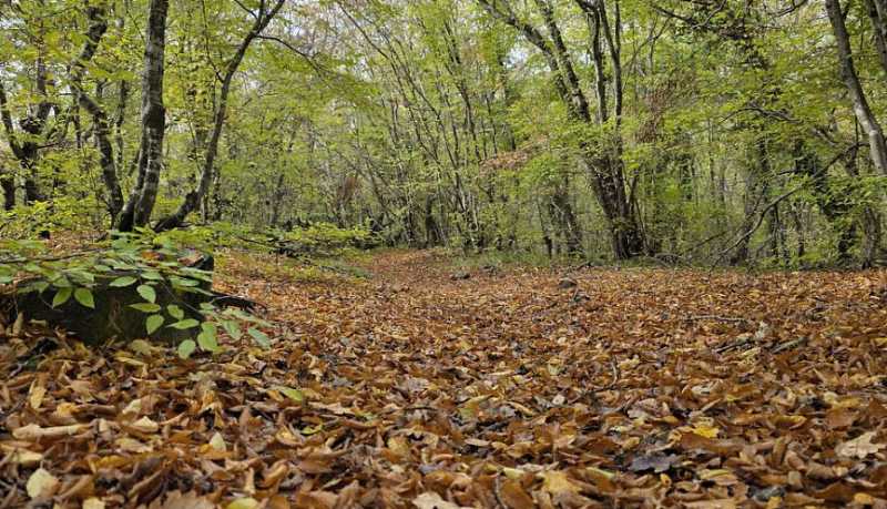 В Новороссийске для любителей туризма доступен новый краеведческий маршрут &laquo;По склону горы Амзай&raquo;