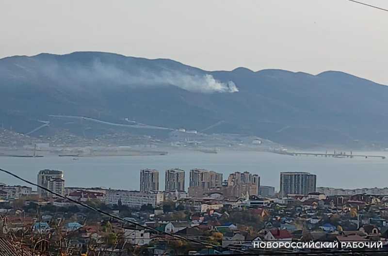 В Новороссийске ликвидируют лесной пожар