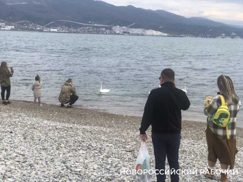 В Новороссийске на горпляже построят раздевалки для «моржей»