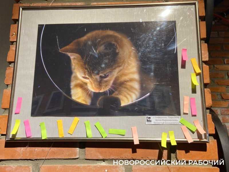 В Новороссийске на выставке &laquo;В стиле минимализма&raquo; представили портрет вилки