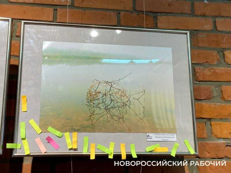 В Новороссийске на выставке &laquo;В стиле минимализма&raquo; представили портрет вилки