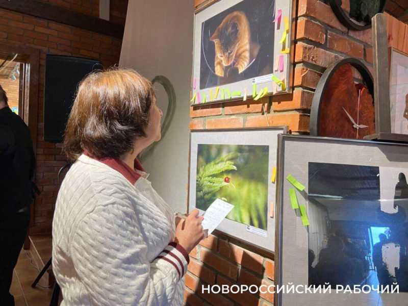 В Новороссийске на выставке &laquo;В стиле минимализма&raquo; представили портрет вилки