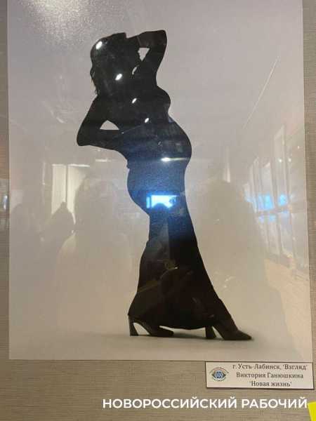 В Новороссийске на выставке &laquo;В стиле минимализма&raquo; представили портрет вилки