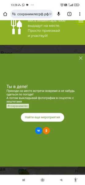 В Новороссийске общественники расследуют ситуацию с псевдосубботником по посадке леса