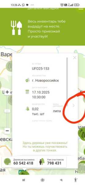 В Новороссийске общественники расследуют ситуацию с псевдосубботником по посадке леса