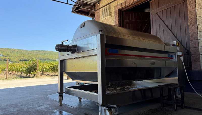 В Новороссийске поставлен очередной рекорд &ndash; собрано 15 490 тонн винограда