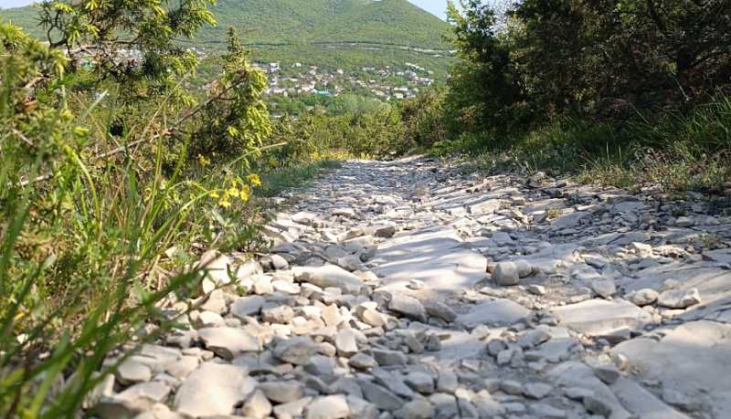 В Новороссийске статус особо охраняемой природной территории местного значения получила природная рекреационная зона &laquo;Камчатское можжевеловое редколесье&raquo;
