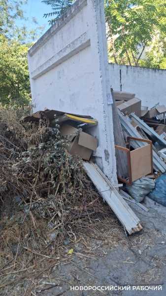 В Новороссийске власти и регоператор не могут договориться, куда выбрасывать ветки