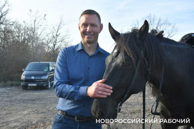 В Новороссийске всем миром высаживают целый лес