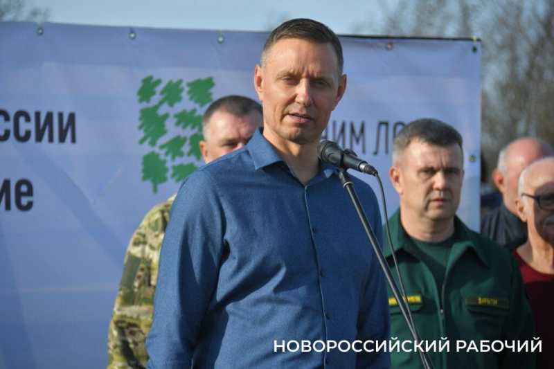 В Новороссийске всем миром высаживают целый лес