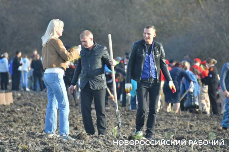 В Новороссийске всем миром высаживают целый лес