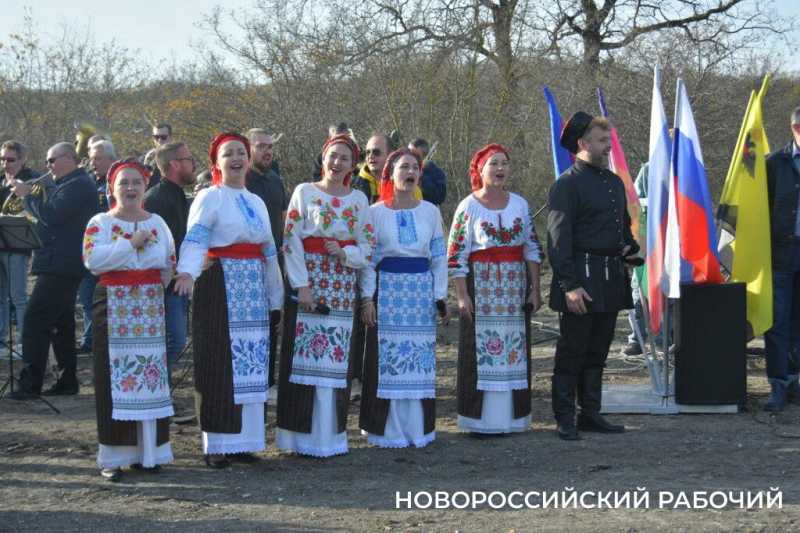 В Новороссийске всем миром высаживают целый лес