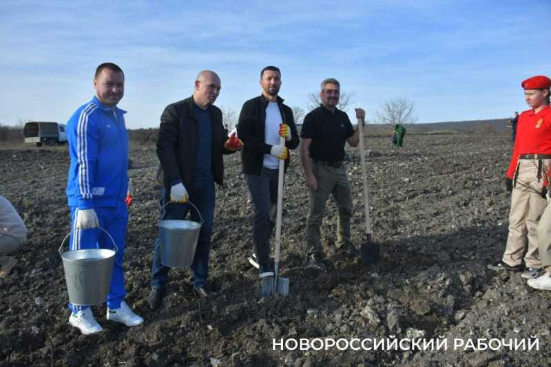 В Новороссийске всем миром высаживают целый лес