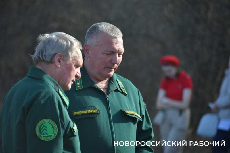 В Новороссийске всем миром высаживают целый лес