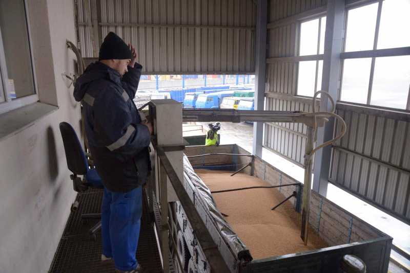 В порту Новороссийска пройдут анонимные аукционы по продаже зерна на экспорт