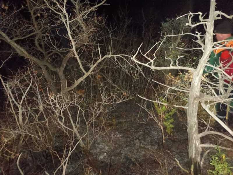 В пригороде Новороссийска потушили лесные пожары