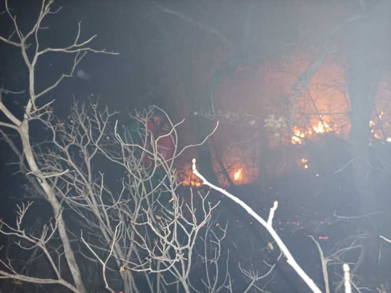 В пригороде Новороссийска потушили лесные пожары