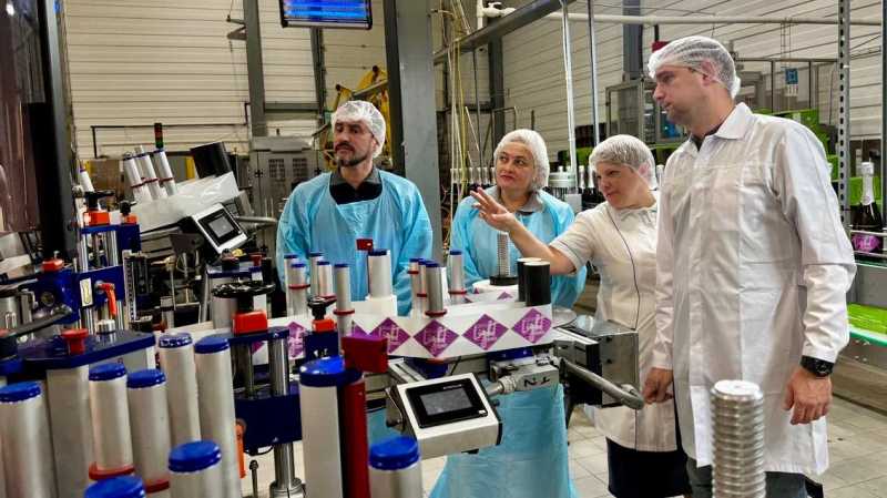 Винодельческое хозяйство из Анапы добилось экономического эффекта в 7 млн рублей благодаря бережливым технологиям