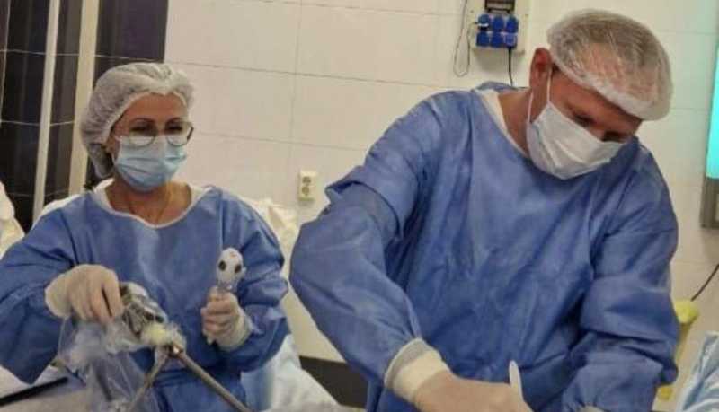 Всемирный день борьбы с ожирением: бариатрическая хирургия в Новороссийске вышла на новый уровень