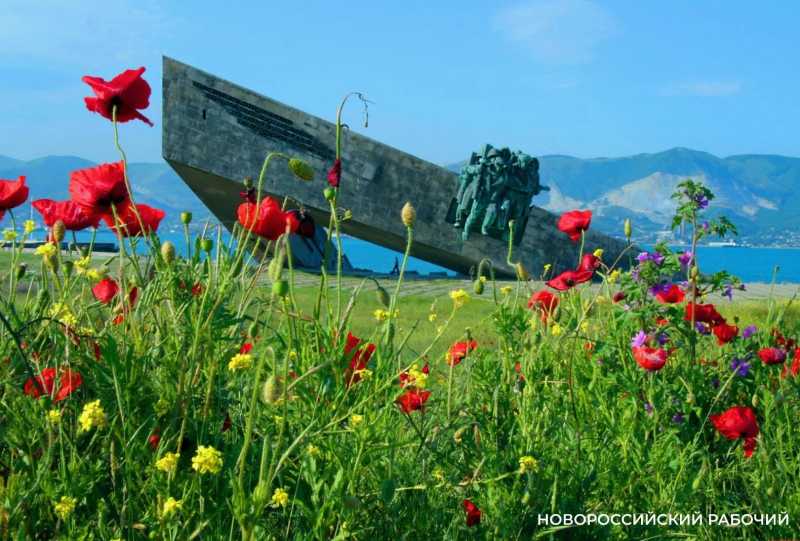 Защитники Новороссийска могут стать почетными гражданами города независимо от места жительства