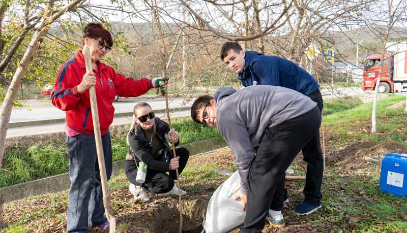 Зеленые легкие обогатились: на аллее Славы в Абрау-Дюрсо высадили саженцы клена, можжевельника и липы