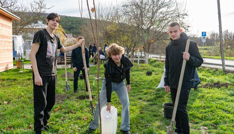 Зеленые легкие обогатились: на аллее Славы в Абрау-Дюрсо высадили саженцы клена, можжевельника и липы