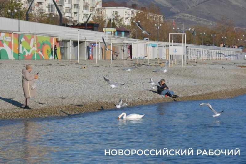 4 декабря &mdash; День угощения птиц и белок. Не кормите их хлебом, сохраните им жизнь!