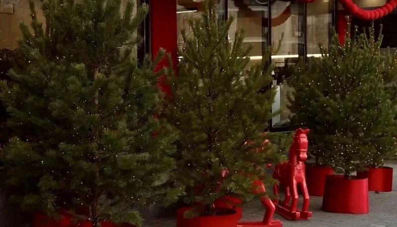 Андрей Кравченко: жители Новороссийска могут принять участие в конкурсе на самое оригинальное праздничное оформление