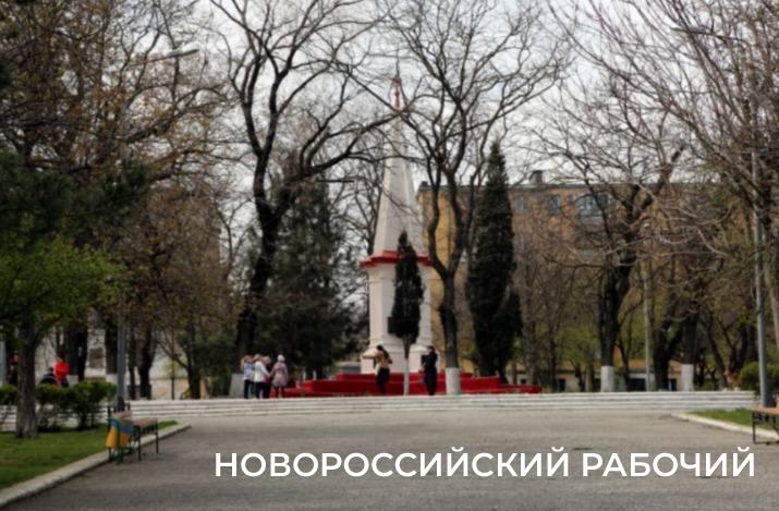 Белить &mdash; нельзя! Как ухаживать за деревьями в Новороссийске по новым правилам