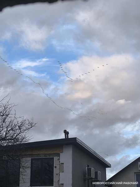 Что увидели жители Новороссийска, пока звучала сирена о ракетной опасности