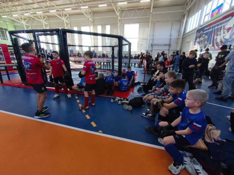 Десять греко-римских борцов из Новороссийска завоевали путевки на первенство ЮФО