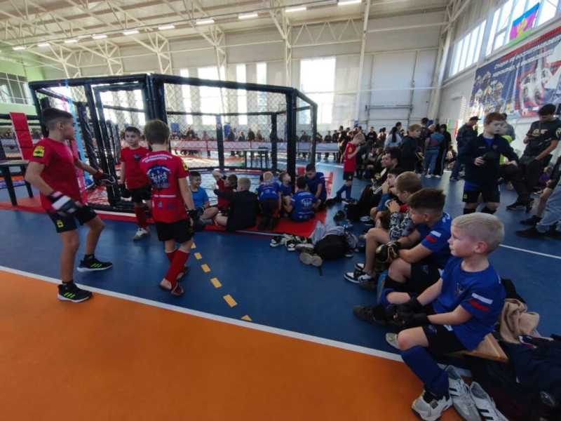 Десять греко-римских борцов из Новороссийска завоевали путевки на первенство ЮФО