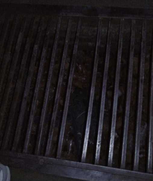 Если б не добрые прохожие! Житель Новороссийска застрял в неисправной решетке ливневки