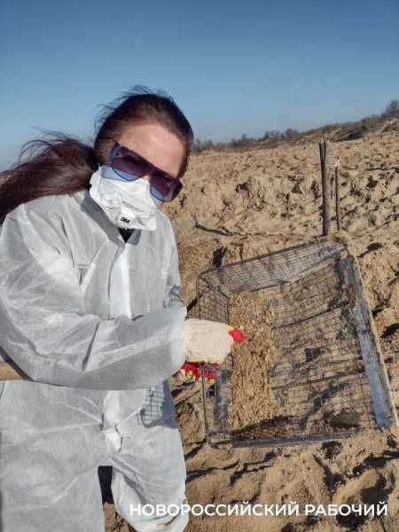 Годовщина трагедии: «Пахали как черти!» Год назад Новороссийск рванул спасать Анапу от мазута