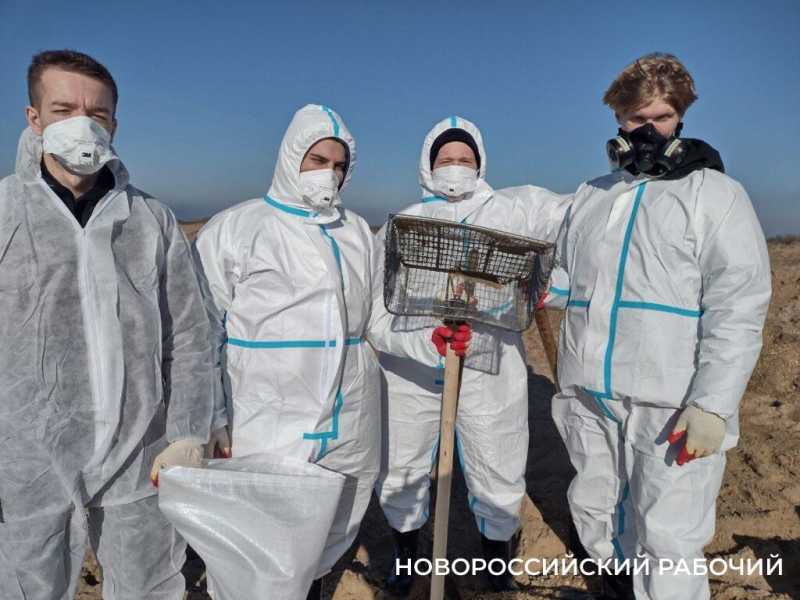 Годовщина трагедии: «Пахали как черти!» Год назад Новороссийск рванул спасать Анапу от мазута