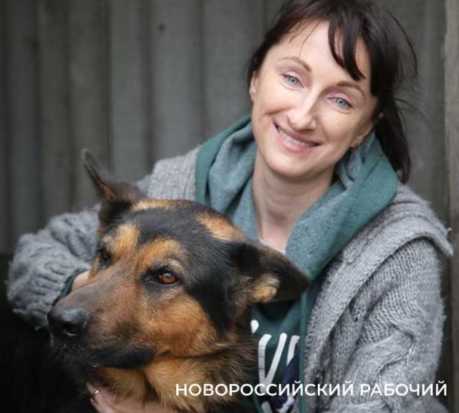 Какая помощь нужна новороссийским пушистикам