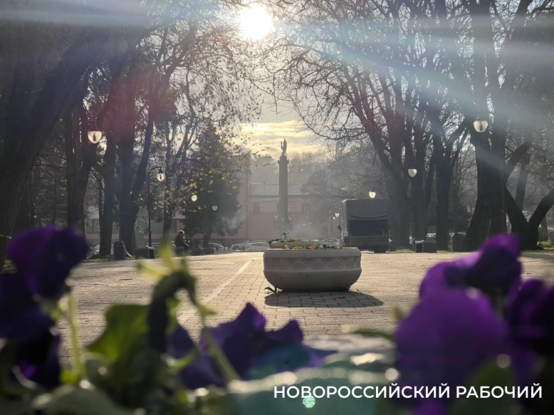 Какая зима &ndash; такие и снежные бабы! В Новороссийске появились &laquo;банановые снеговики&raquo;