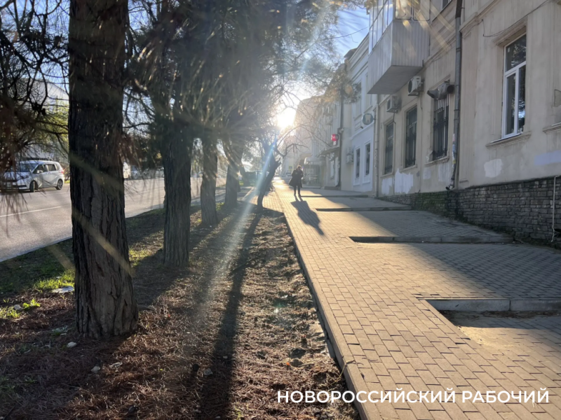 Какая зима &ndash; такие и снежные бабы! В Новороссийске появились &laquo;банановые снеговики&raquo;