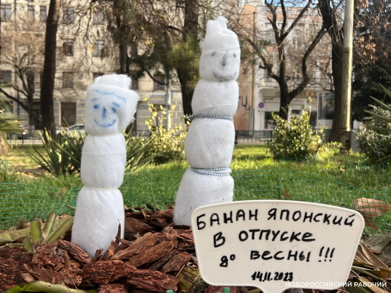 Какая зима &ndash; такие и снежные бабы! В Новороссийске появились &laquo;банановые снеговики&raquo;