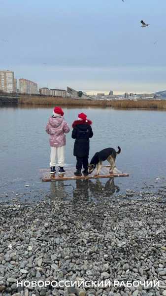 Моржи Новороссийска сделали заплыв и пожелали всем здоровья в новом году