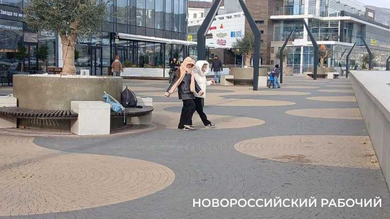 На набережной Новороссийска оливы &laquo;одели&raquo; по-зимнему и нарядили по-новогоднему