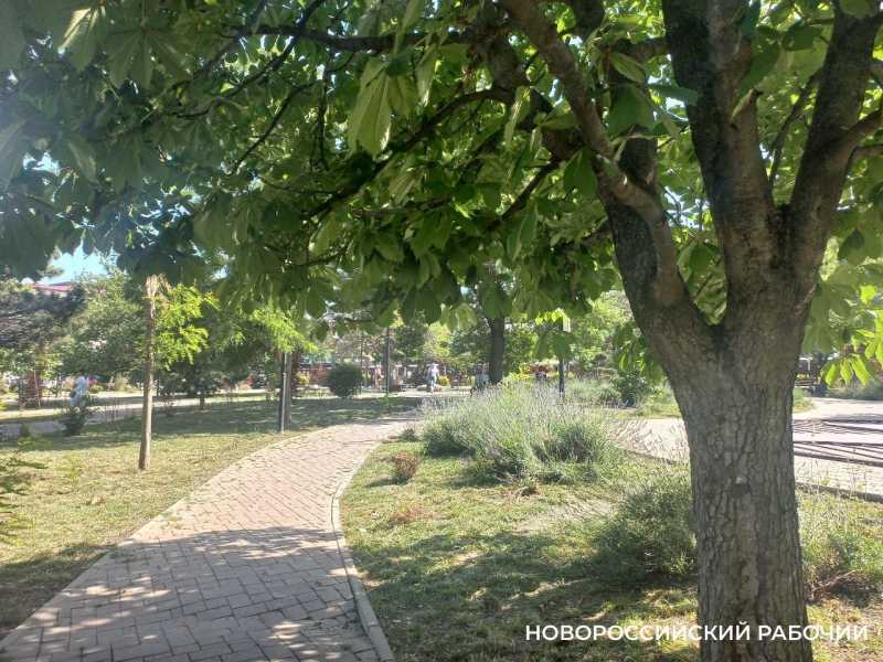 Новороссийск и его ближайшие соседи названы &laquo;жемчужиной роста экономики&raquo;. Где точки роста