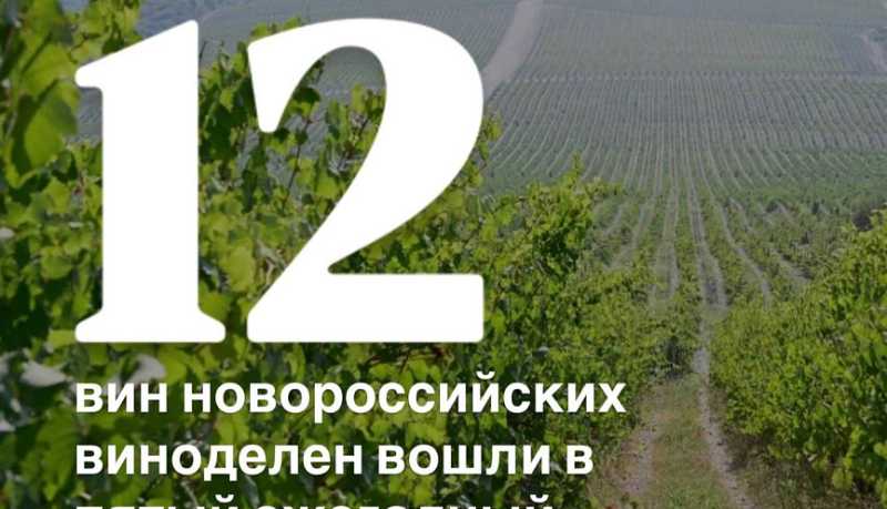 Новороссийск входит в тройку лидеров Кубани по валовому сбору винограда и производству винодельческой продукции, получающей высокие оценки престижного рейтинга
