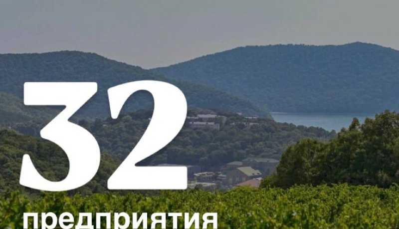 Новороссийск входит в тройку лидеров Кубани по валовому сбору винограда и производству винодельческой продукции, получающей высокие оценки престижного рейтинга